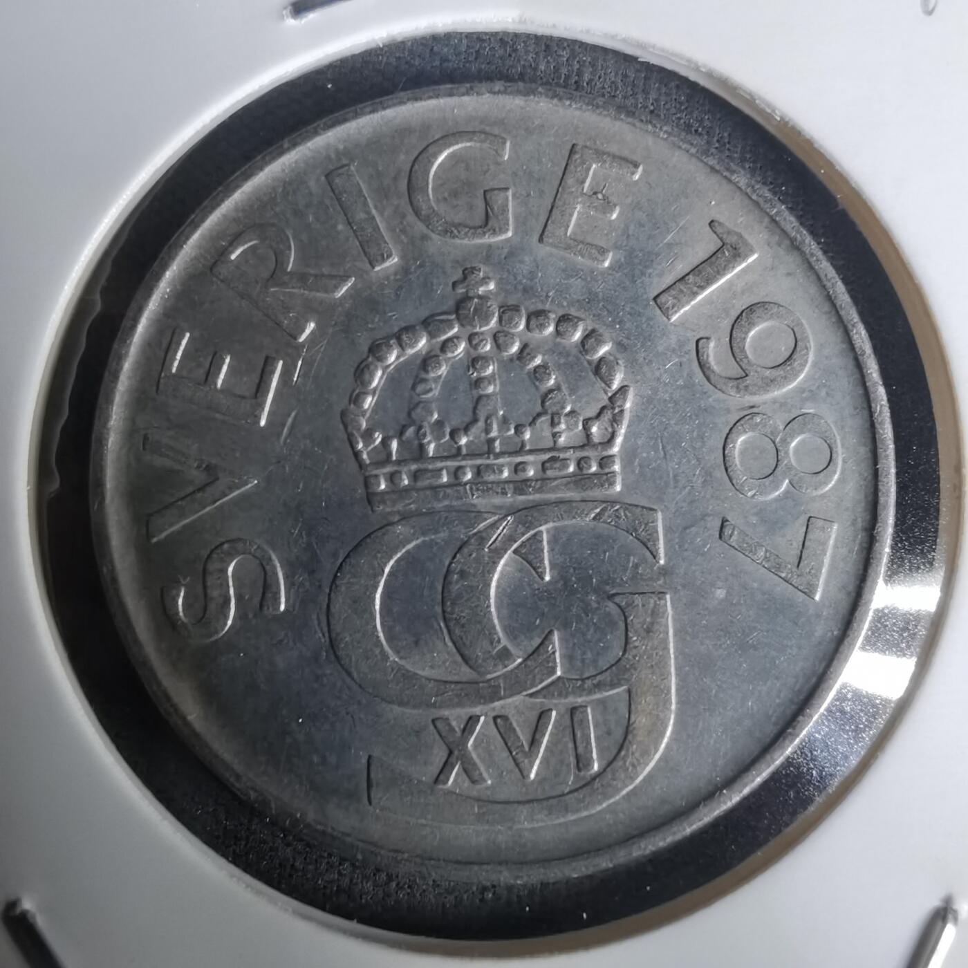 沼泽如烟--第1005场