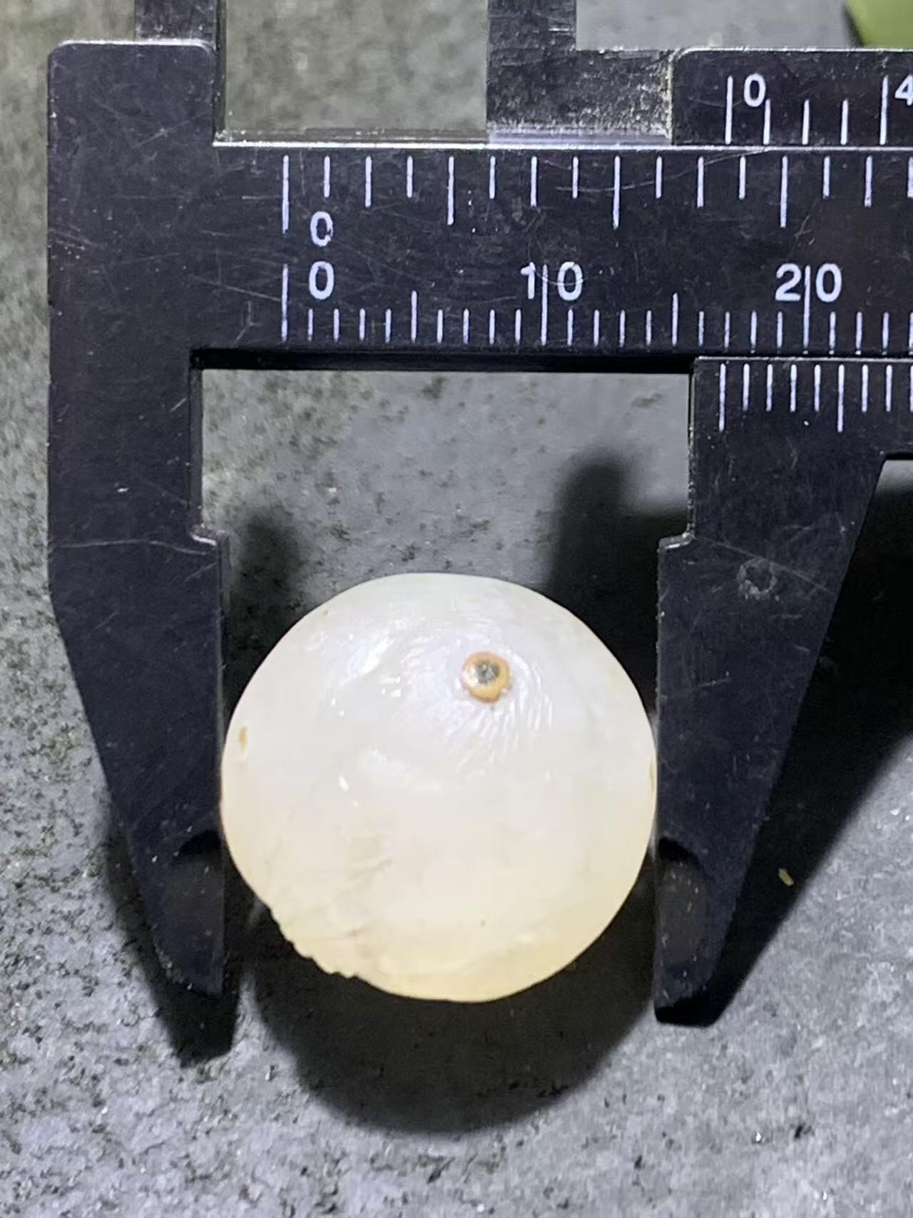 精美满冰飘亚光战国红玛瑙手工俏色巧雕喜鹊随形珠一个