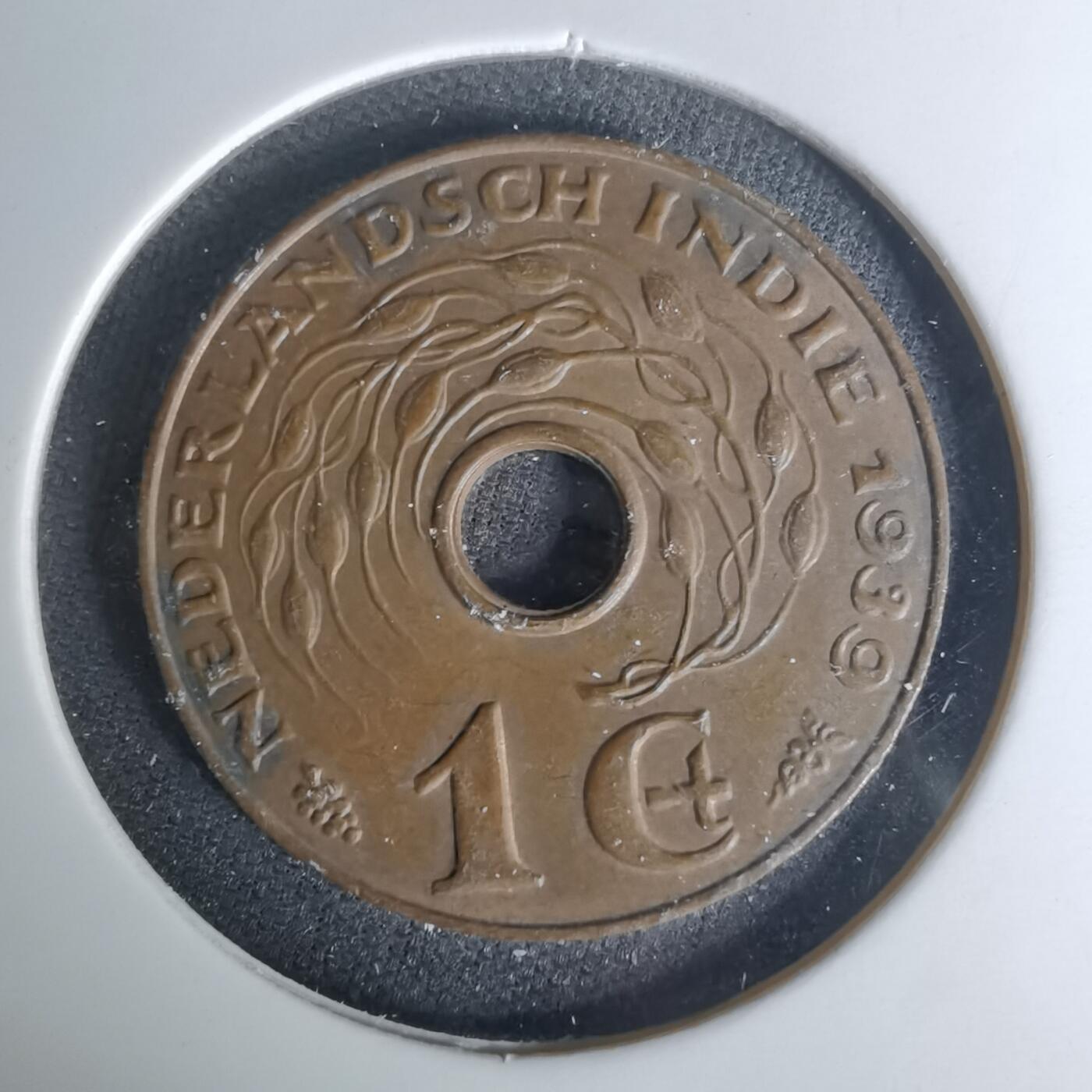 沼泽如烟--第1004场