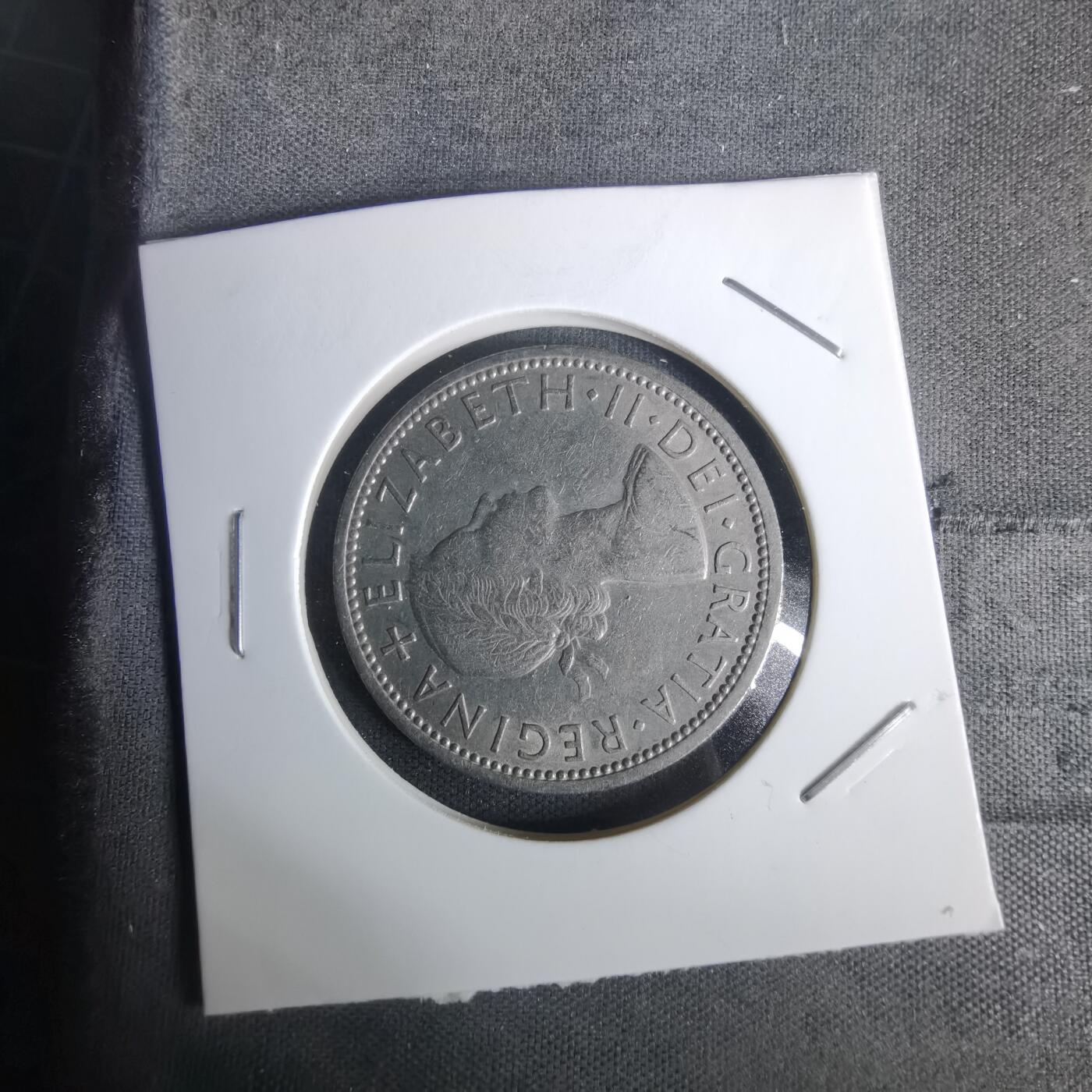 沼泽如烟--第1005场