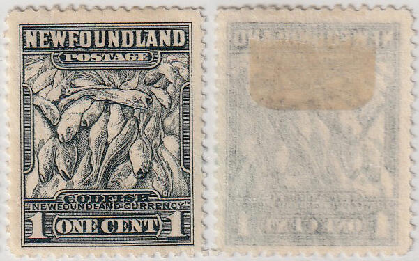 洪涛臻品批发群 精选邮票限时拍卖第1269期  纽芬兰古典邮票 新无胶“纽芬兰货币---鳕鱼