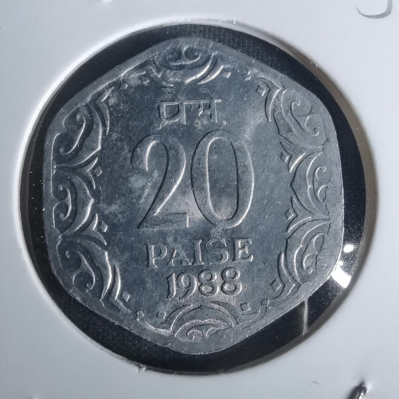 沼泽如烟--第1005场