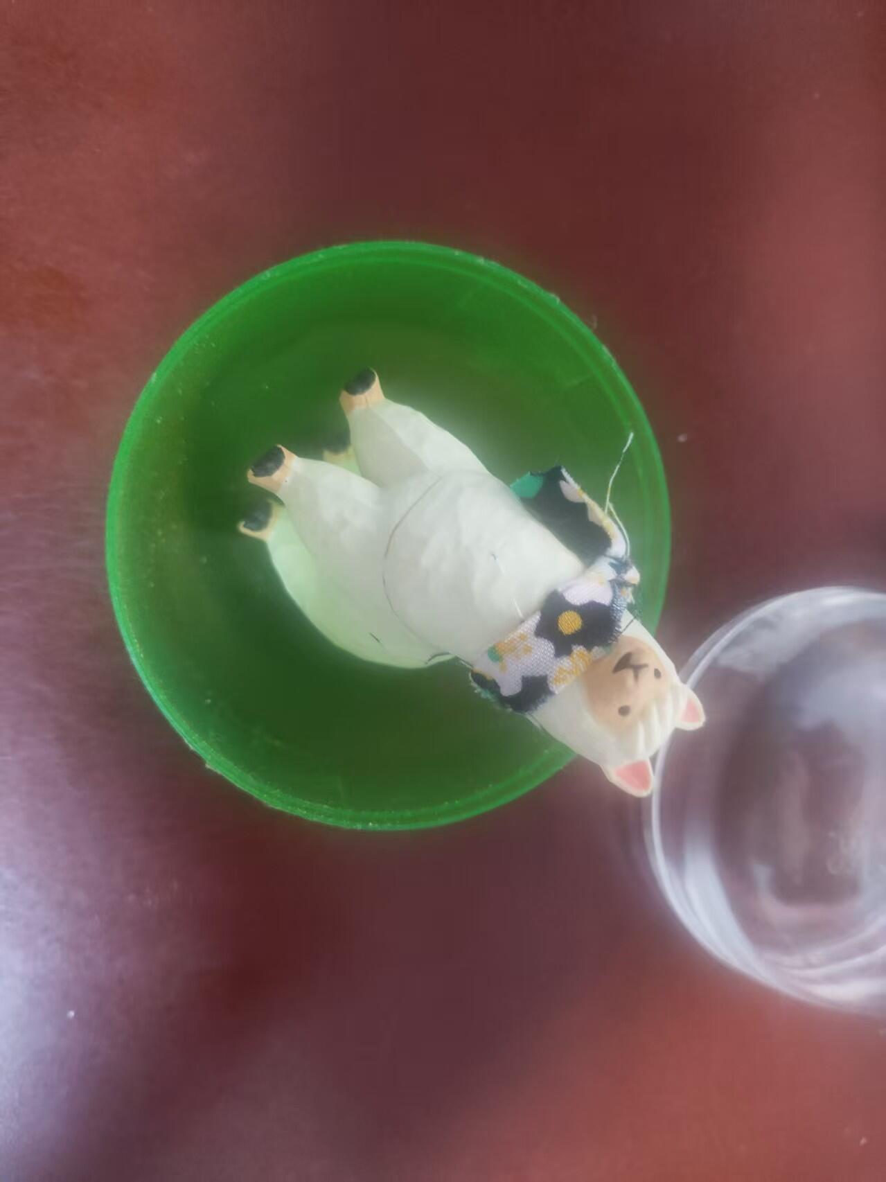 琦卡当当铺～第34期★★新年快乐~各种类型亲签A4都有~支持寄存★★~【9点40结束】扫码加群抽[包邮券]~ 【绝版】正版扭蛋 雕刻动物园 艺术家合作版 羊驼 1个