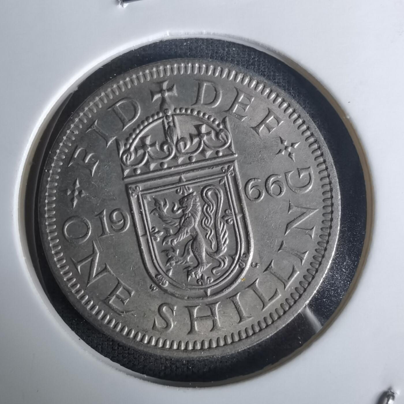 沼泽如烟--第1005场