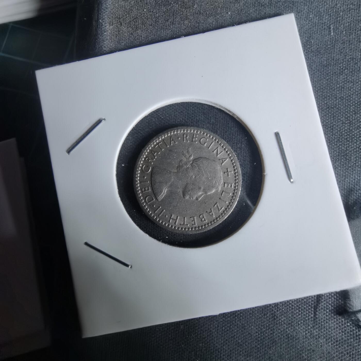 沼泽如烟--第1005场