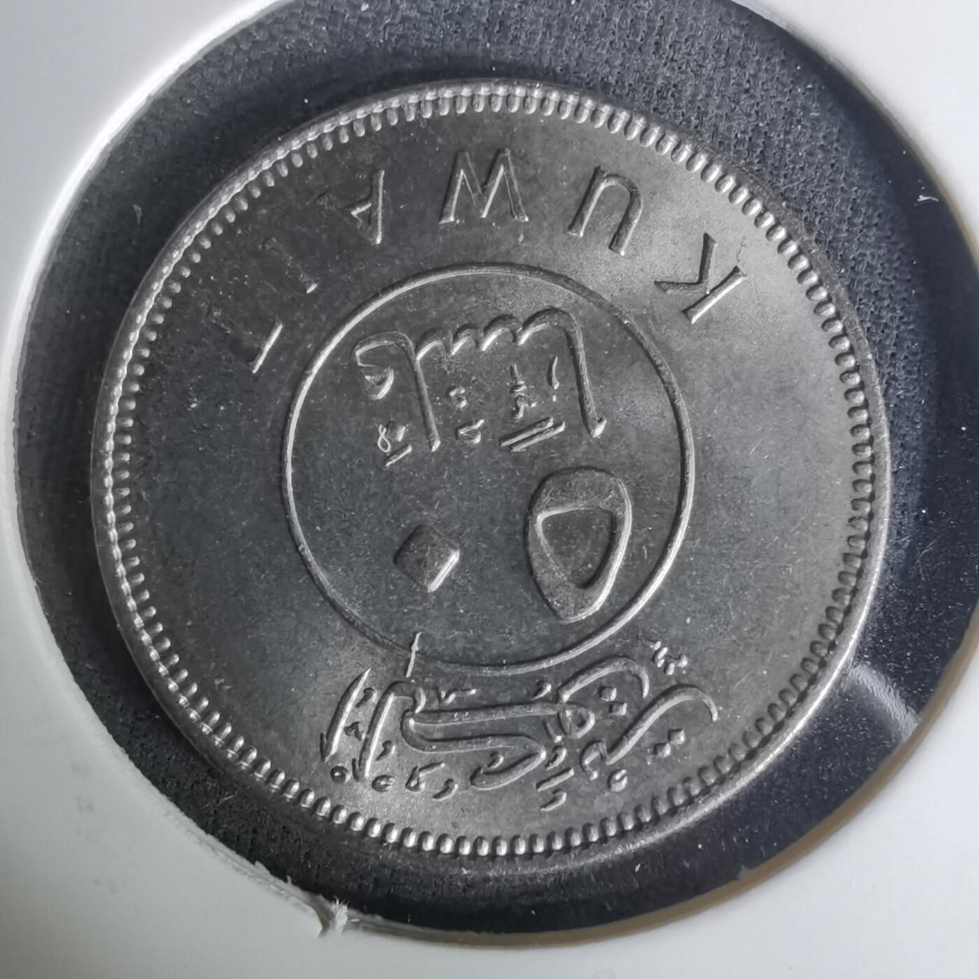 沼泽如烟--第1004场