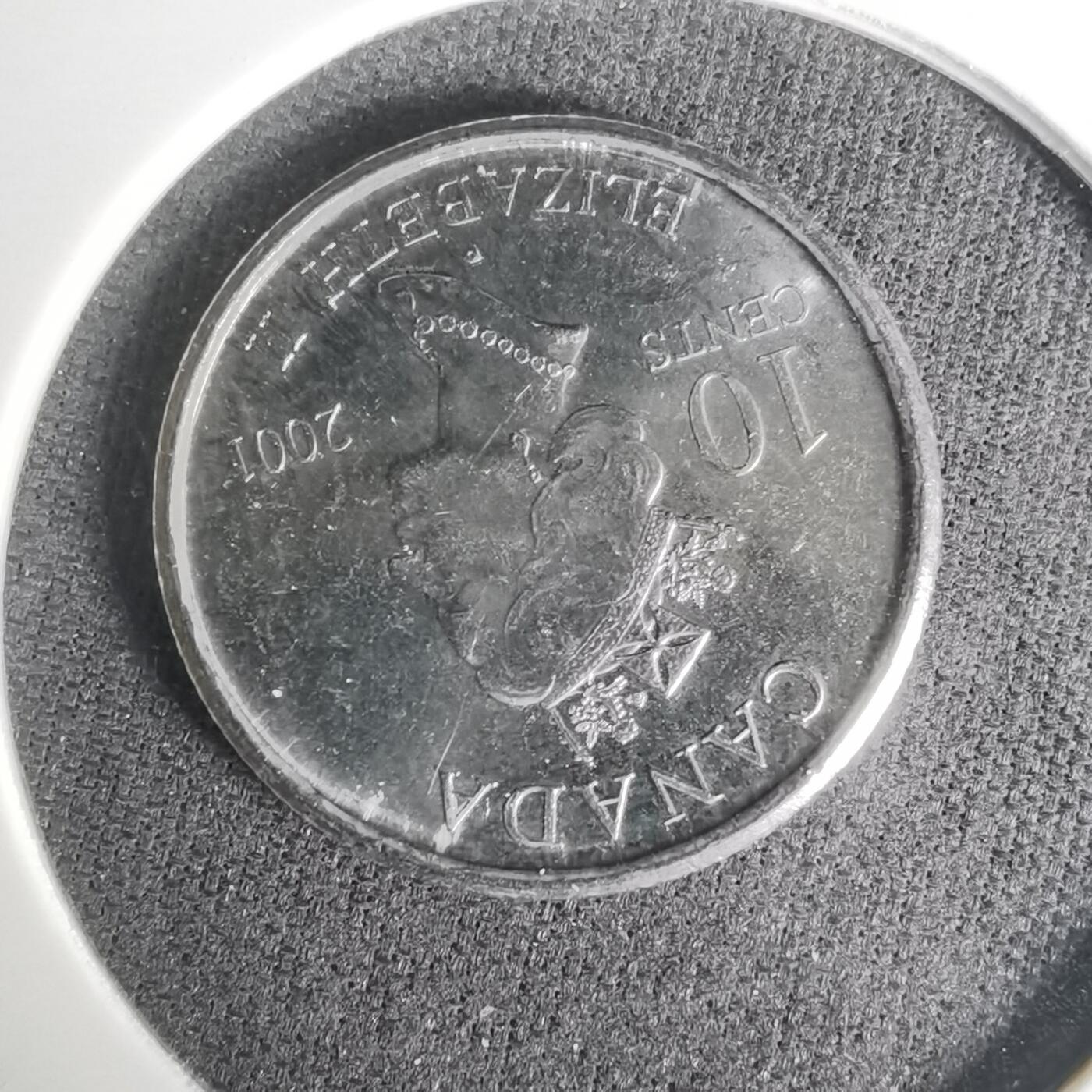 沼泽如烟--第1004场