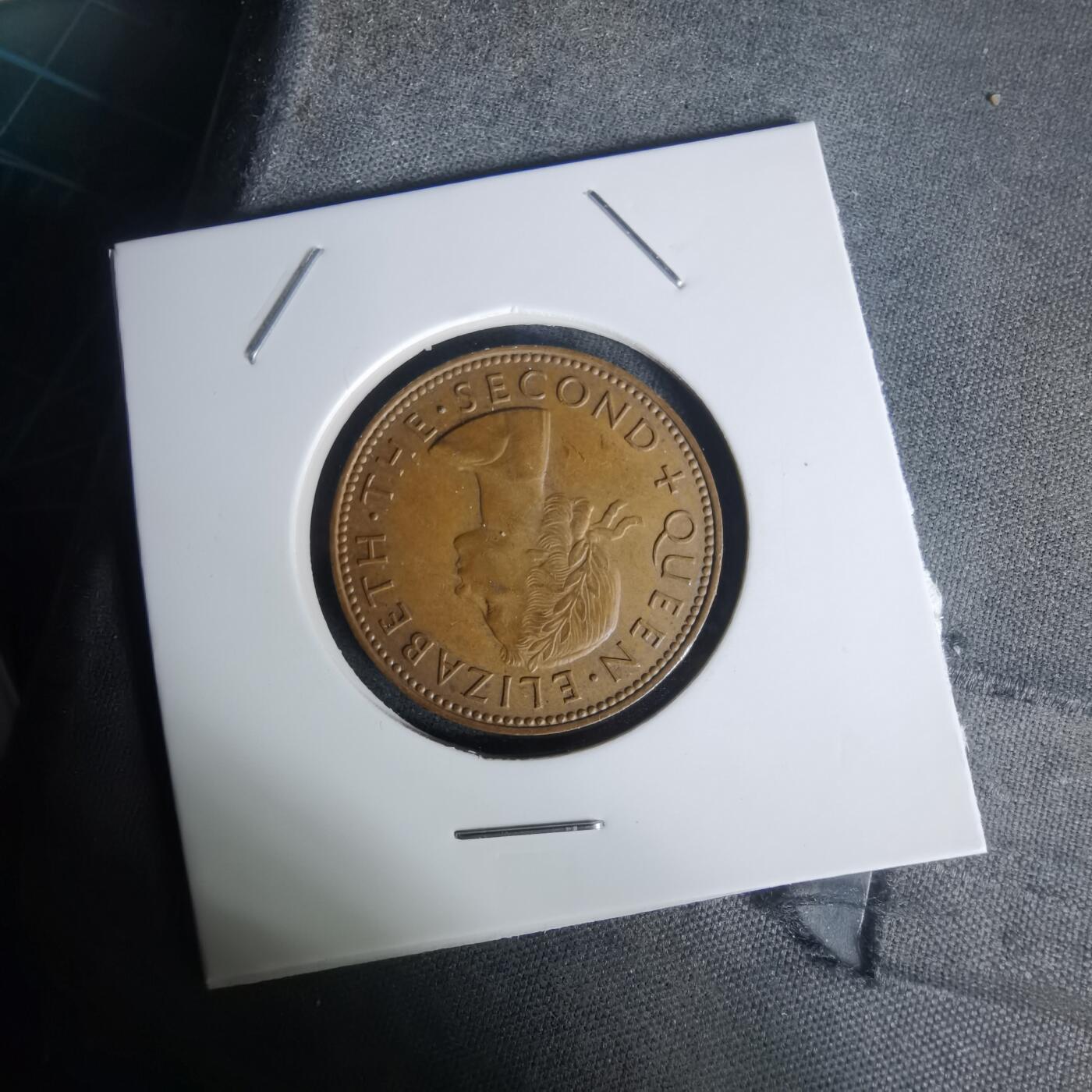 沼泽如烟--第1005场