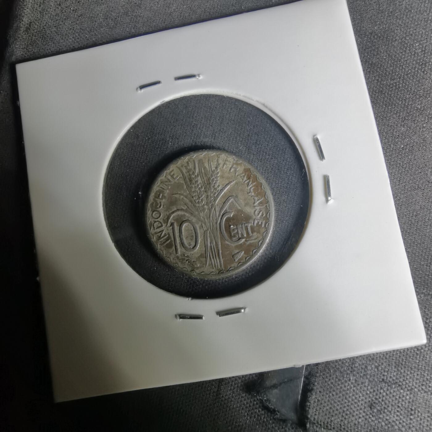 沼泽如烟--第1004场