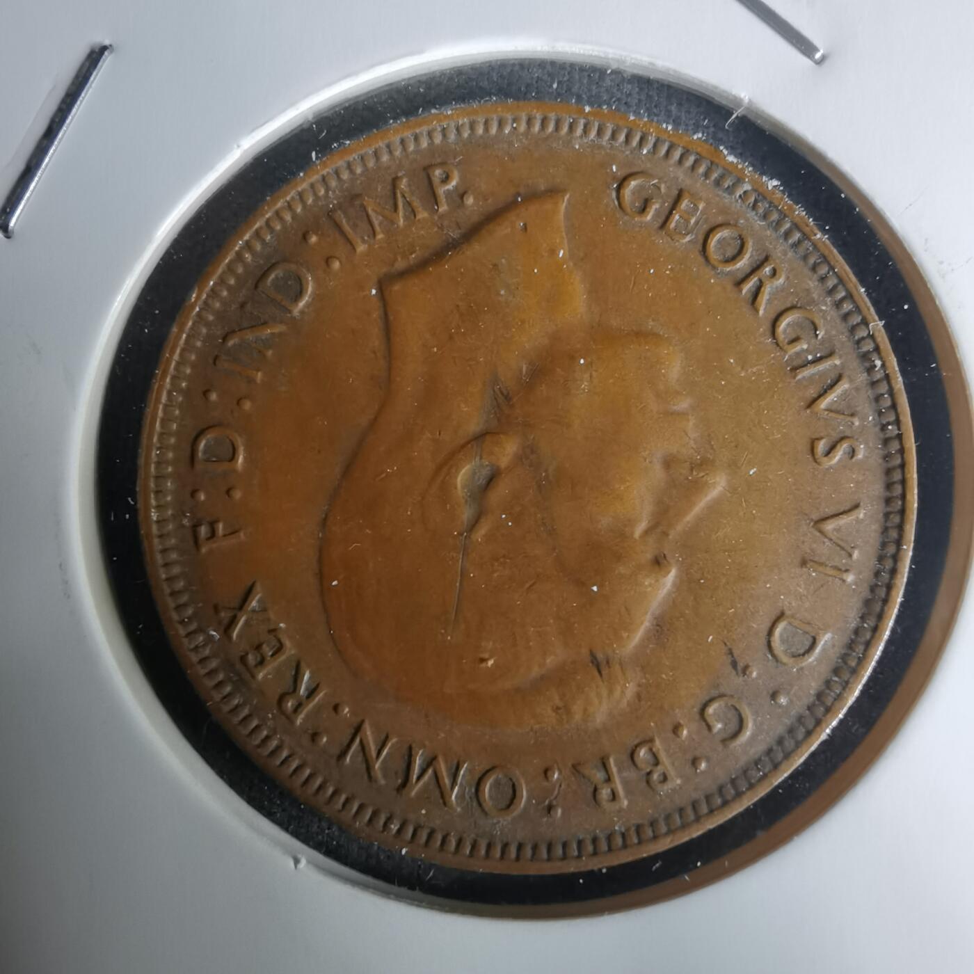 沼泽如烟--第1005场