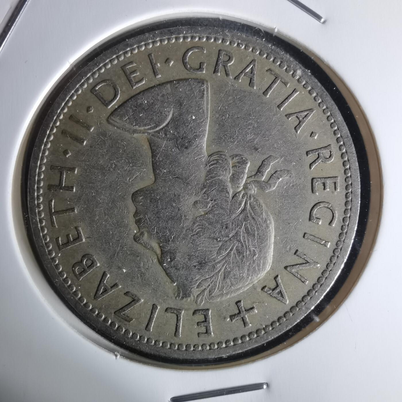 沼泽如烟--第1005场