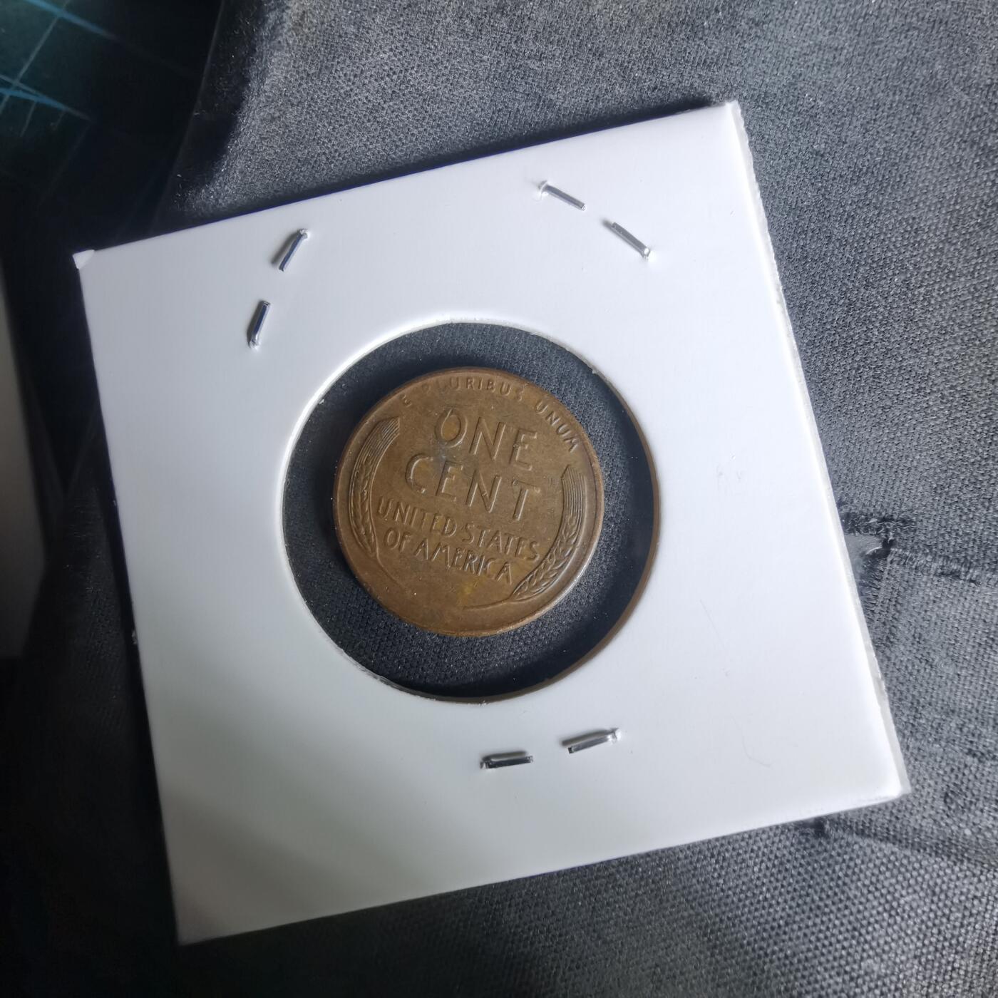 沼泽如烟--第1005场