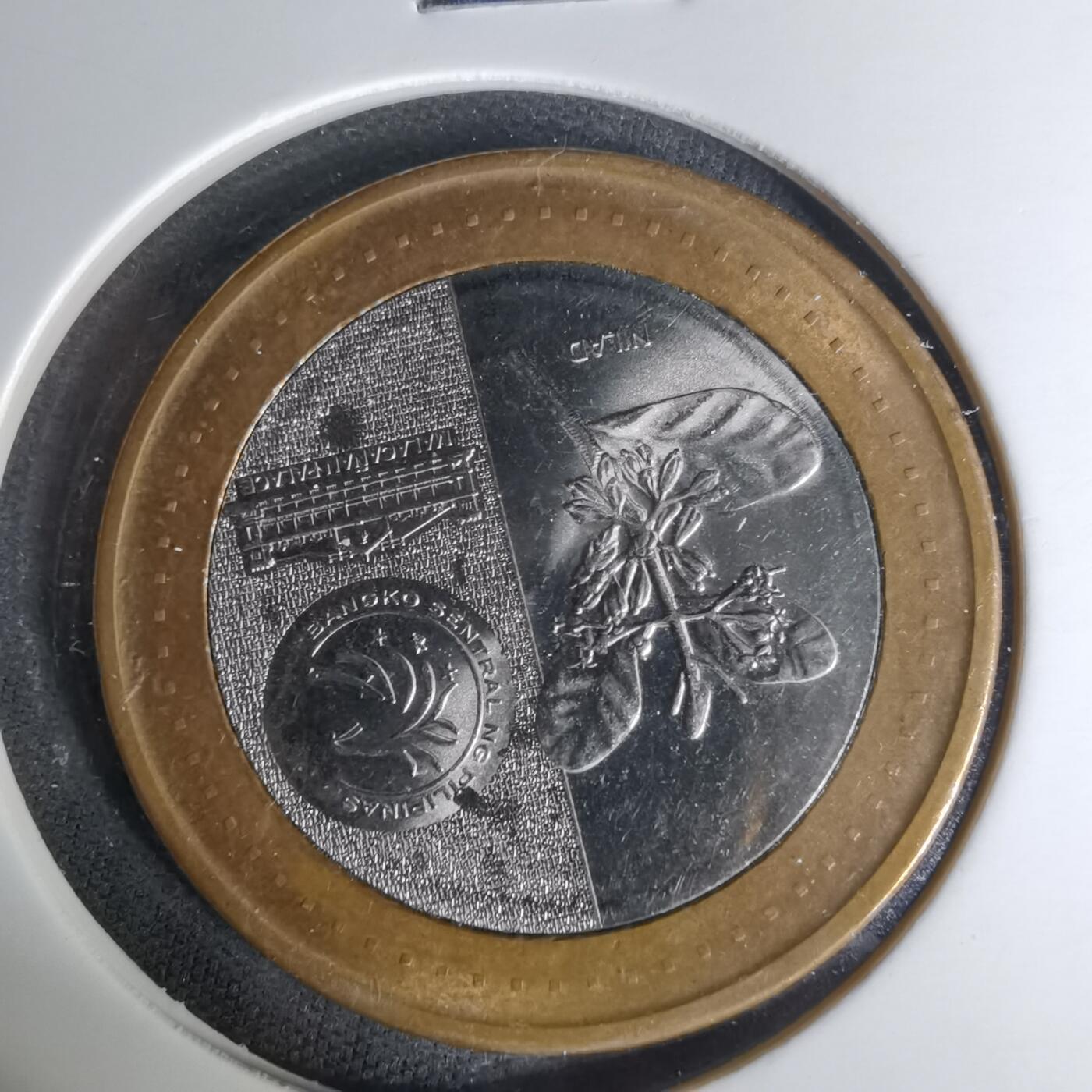 沼泽如烟--第1004场