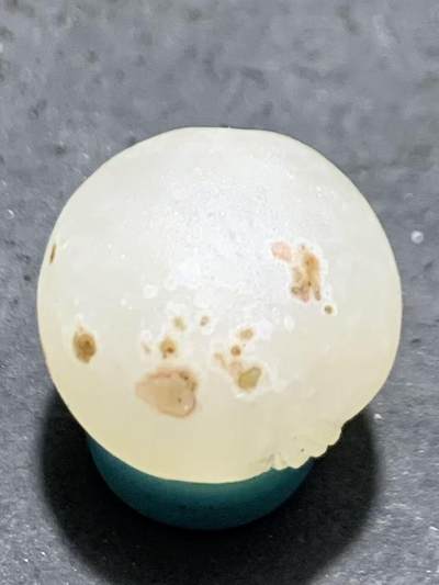 精美满冰飘亚光战国红玛瑙手工俏色巧雕喜鹊随形珠一个 精美满冰飘亚光战国红玛瑙手工俏色巧雕喜鹊随形珠一个