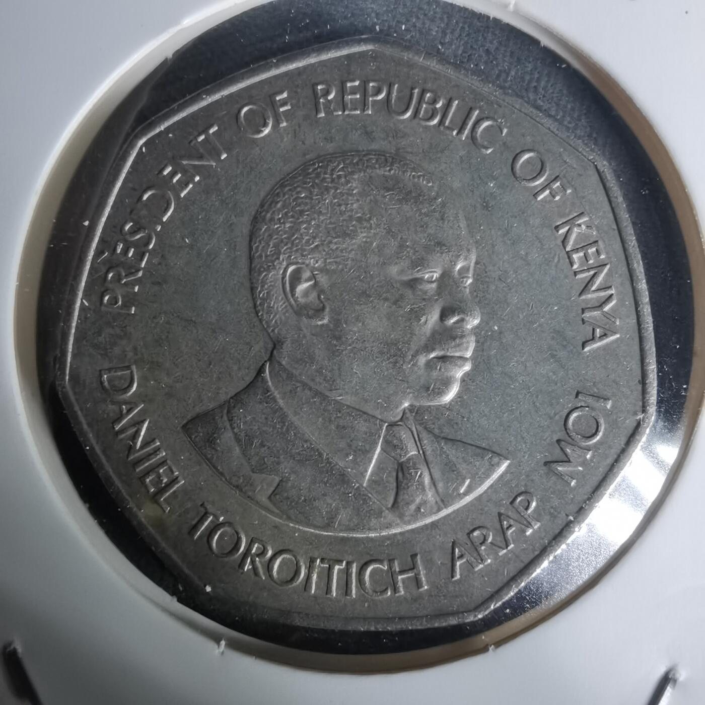 沼泽如烟--第1005场