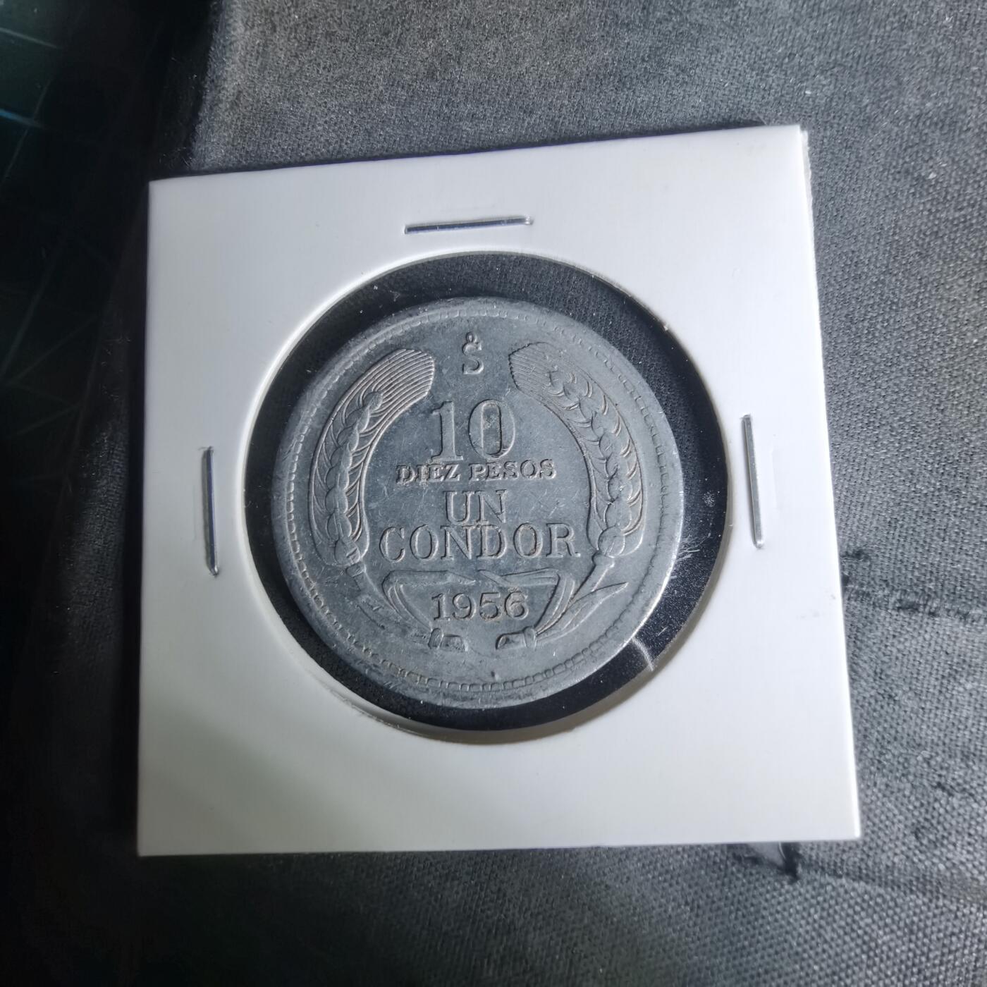 沼泽如烟--第1004场