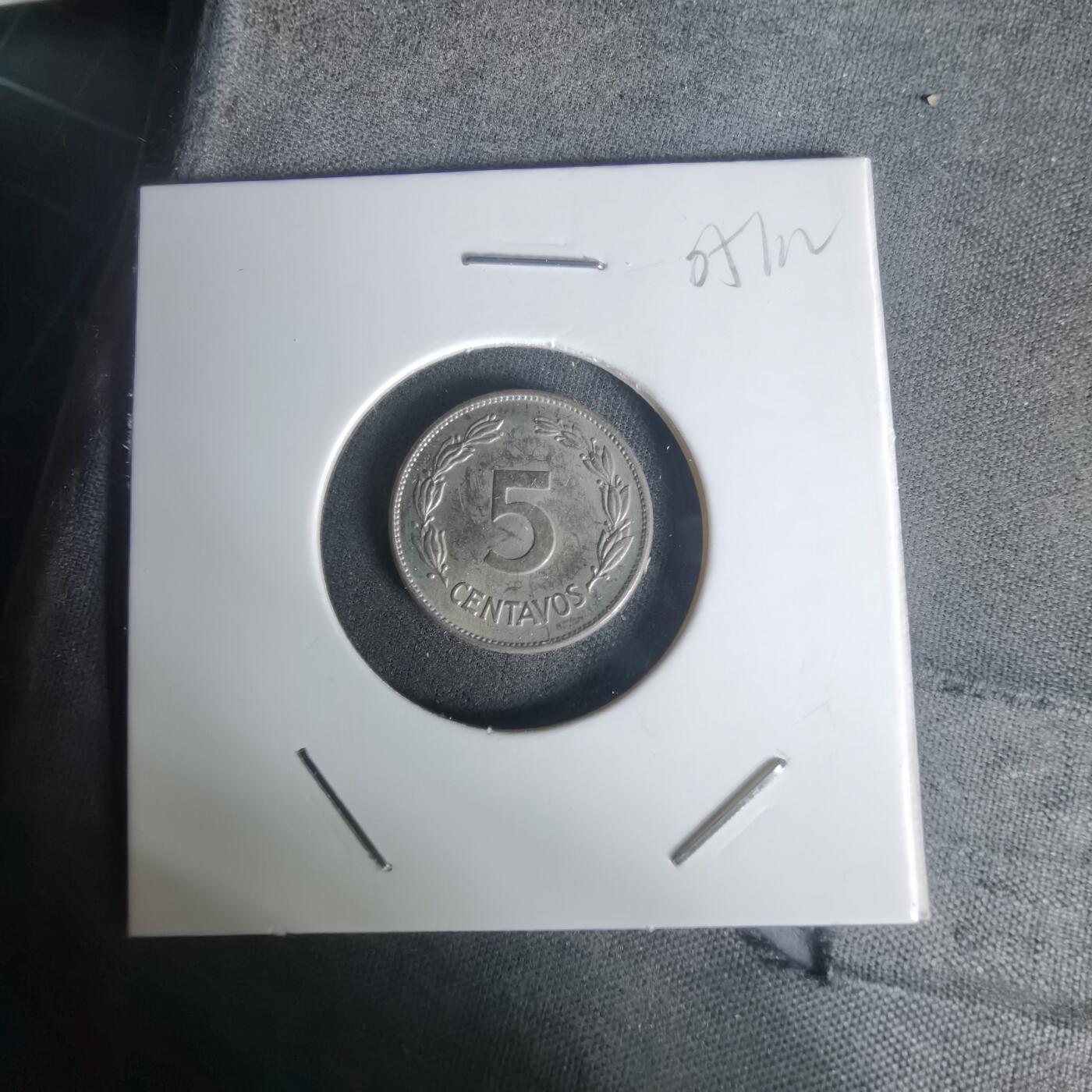 沼泽如烟--第1005场