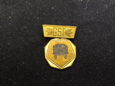 云宸嘉赏-勋臻佳藏新年快速场次（快拍 低佣 一元一手）（新年期间快递正常发） - 民主德国GTS（准军事组织）汽车驾驶证章