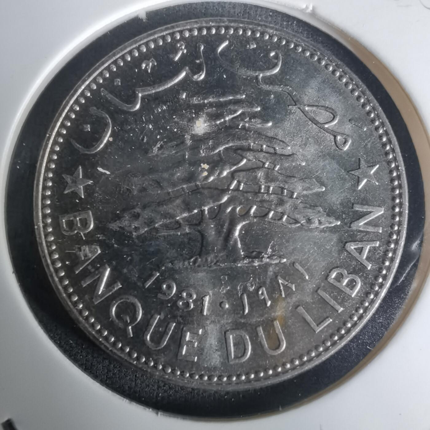 沼泽如烟--第1005场