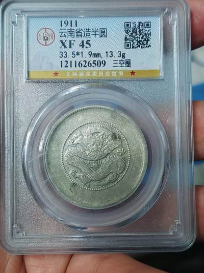 公博45半圆龙三空圈稀少品种 - 公博45半圆龙三空圈稀少品种