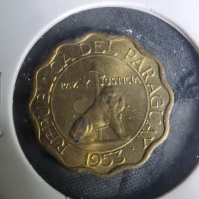 沼泽如烟--第1004场 - 巴拉圭1953年15分