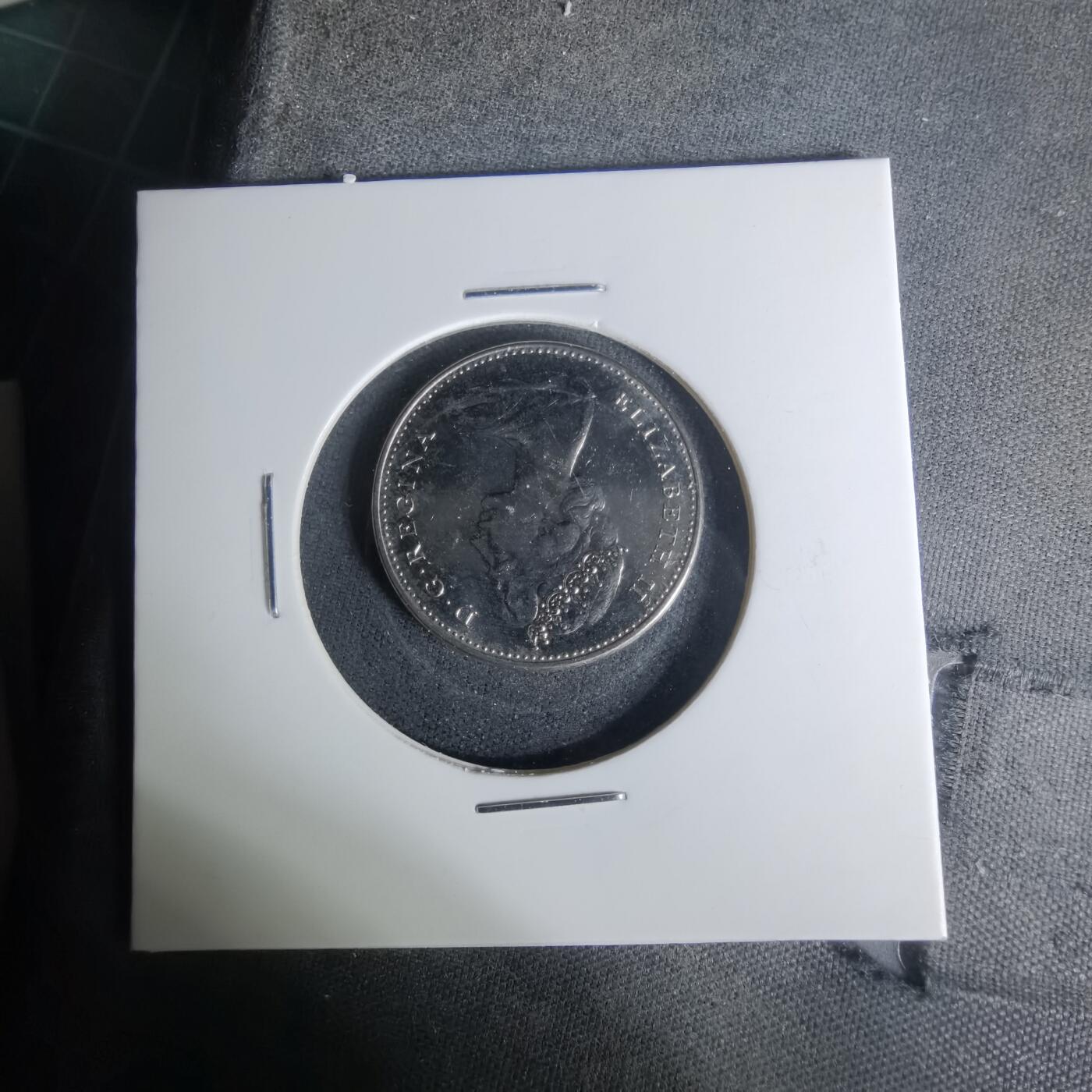 沼泽如烟--第1004场