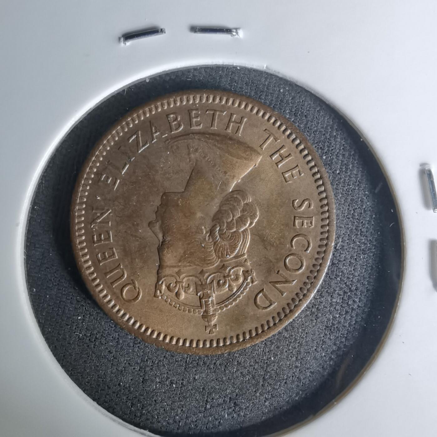 沼泽如烟--第1004场