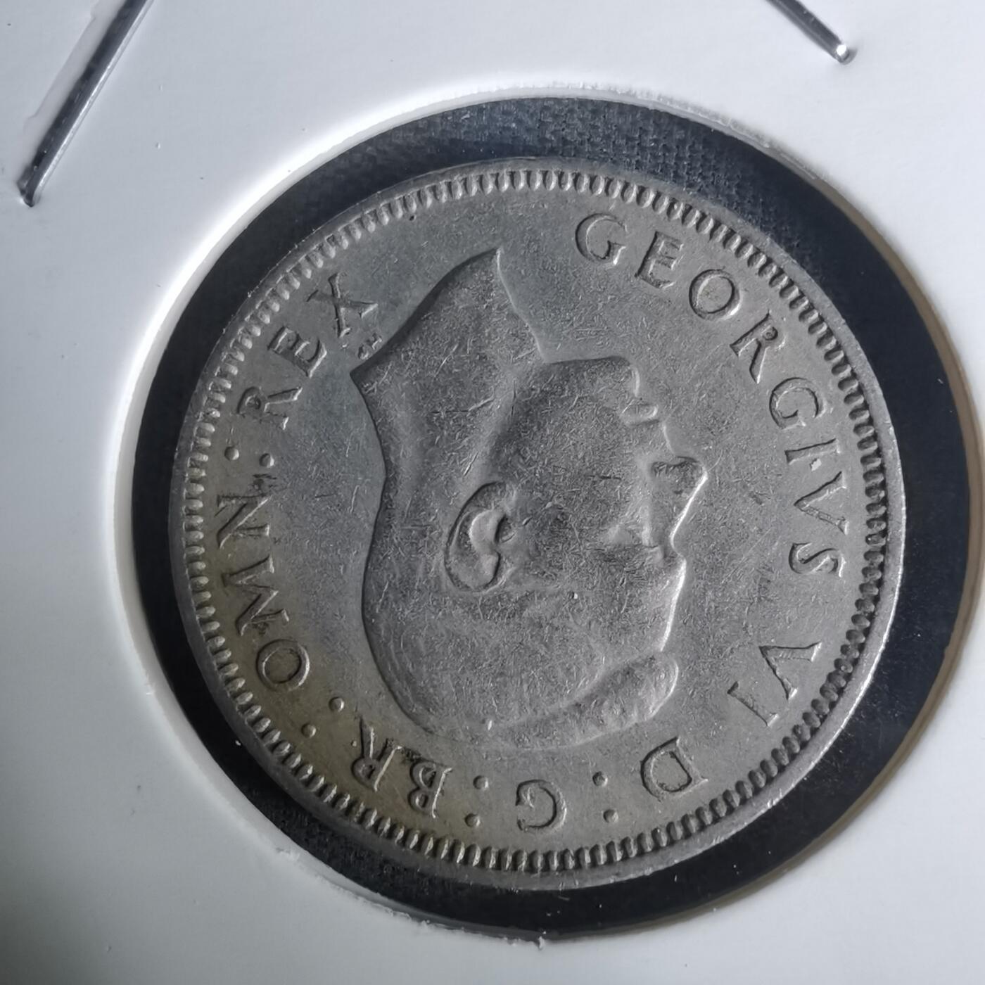 沼泽如烟--第1005场