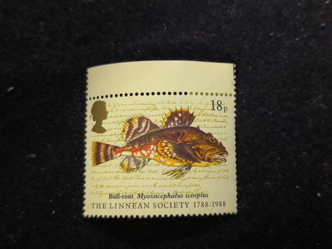 云宸嘉赏-勋臻佳藏新年快速场次（快拍 低佣 一元一手）（新年期间快递正常发）