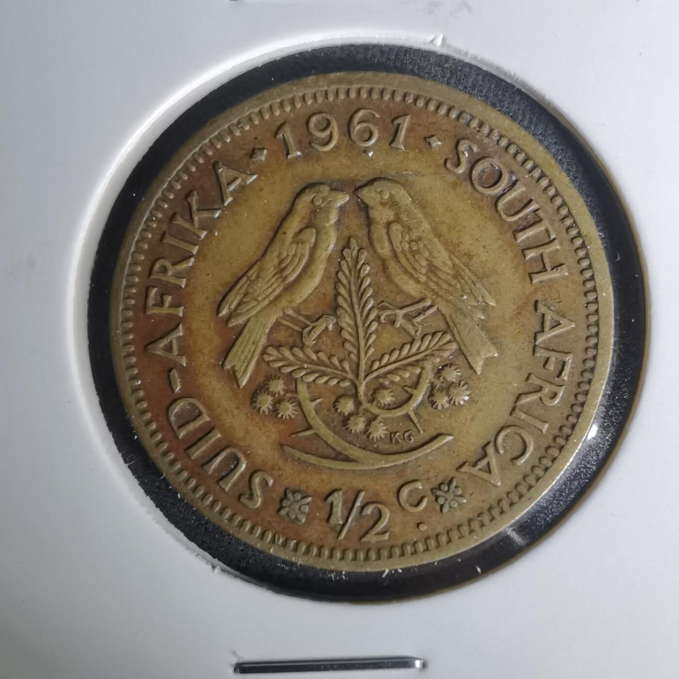 沼泽如烟--第1004场