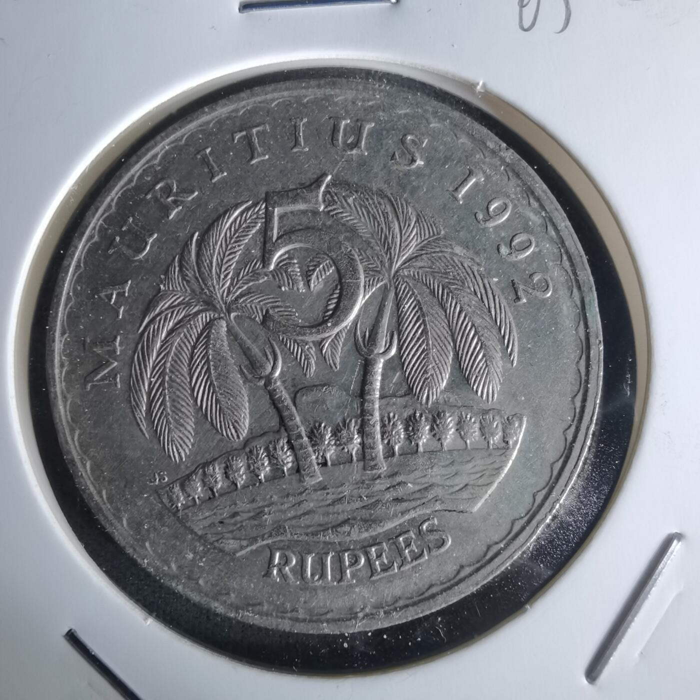 沼泽如烟--第1005场