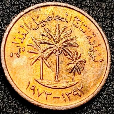 泉币菌-第199场- 新年快乐 新年第7场 本场拍品多 请提前出价（正月十五统一发货） - 铜光美品 阿联酋1费尔 小面值币 FAO增加粮食作物产量 袖珍币