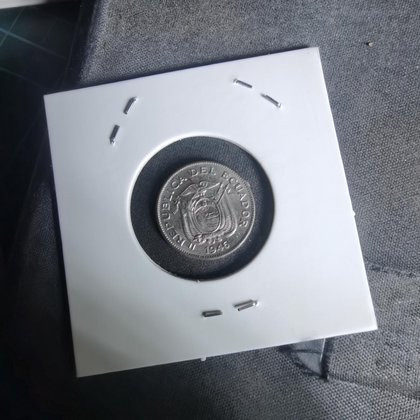 沼泽如烟--第1005场