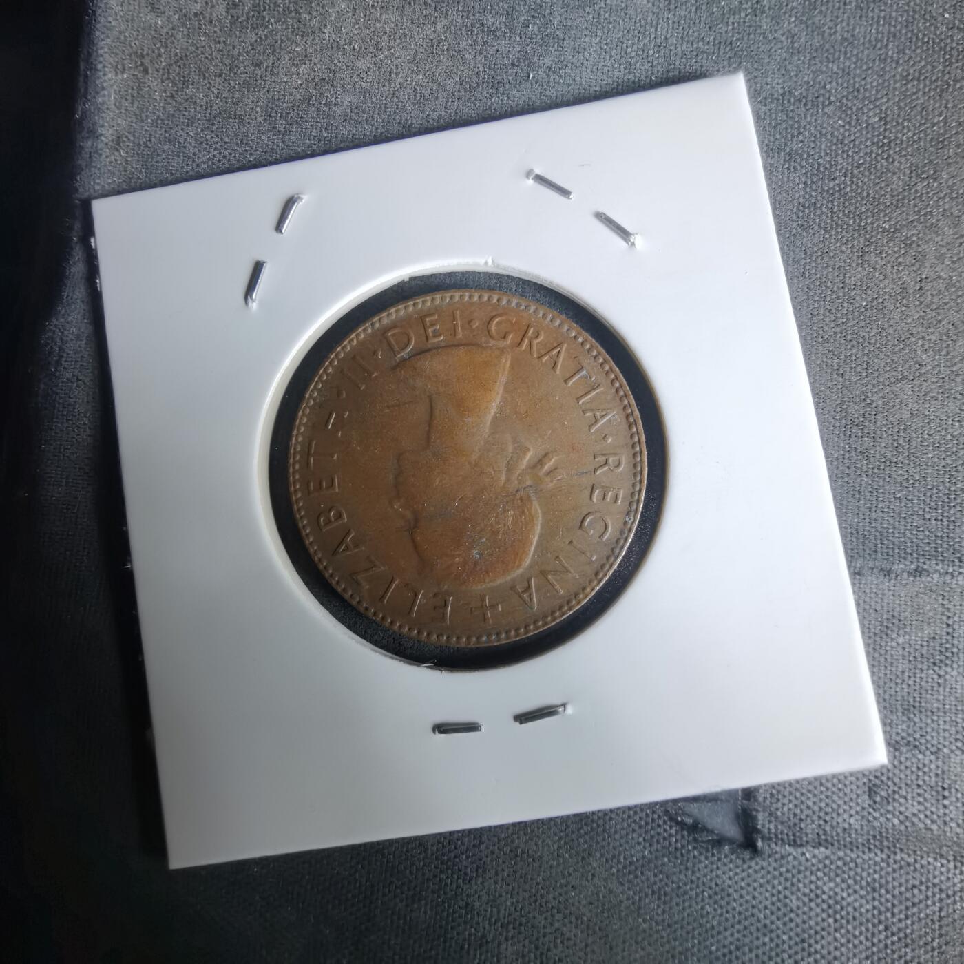 沼泽如烟--第1005场