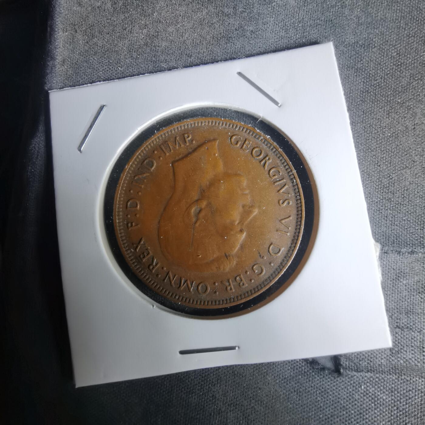 沼泽如烟--第1005场