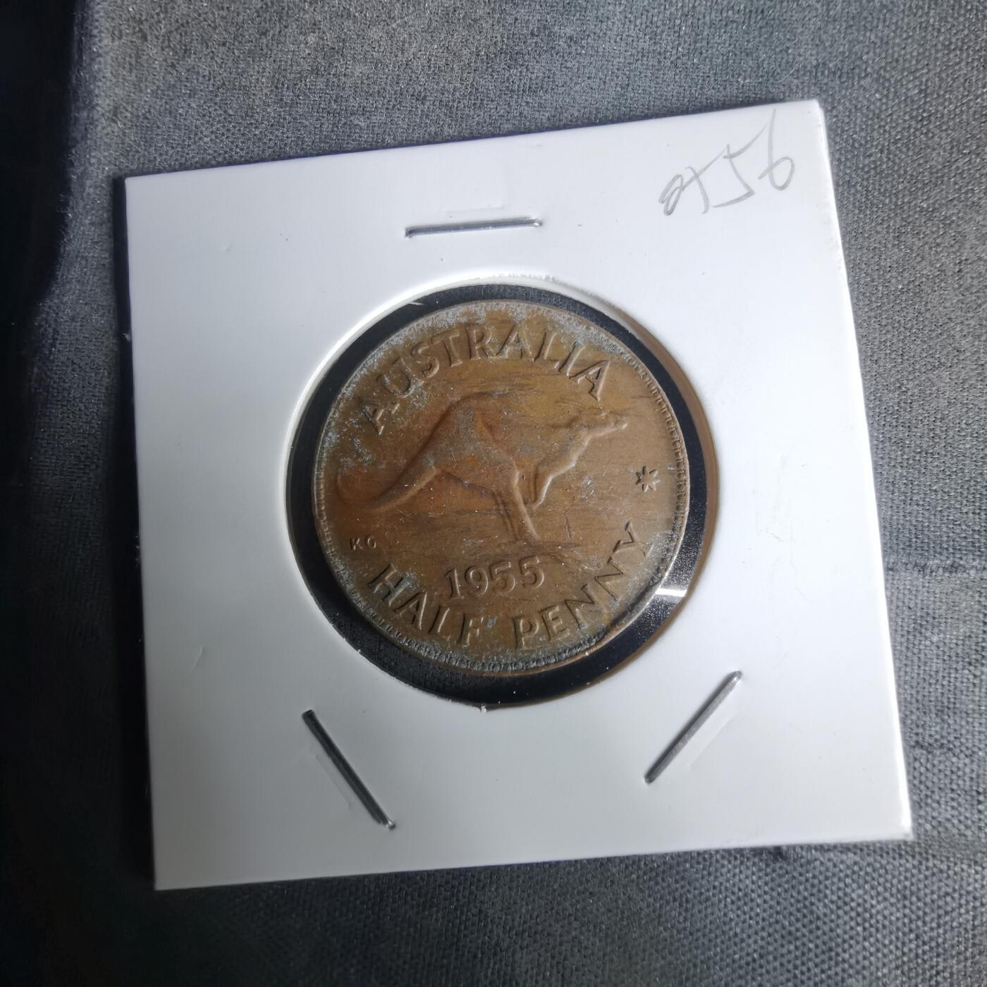 沼泽如烟--第1005场