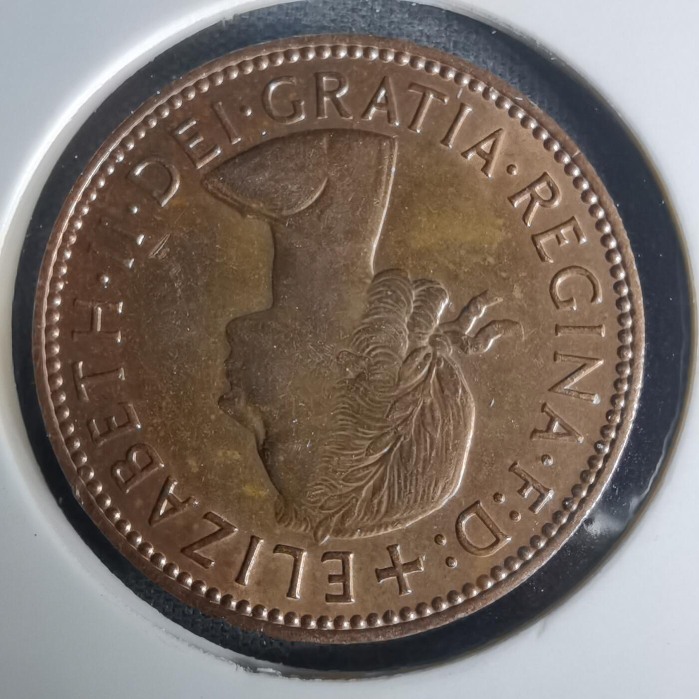 沼泽如烟--第1005场