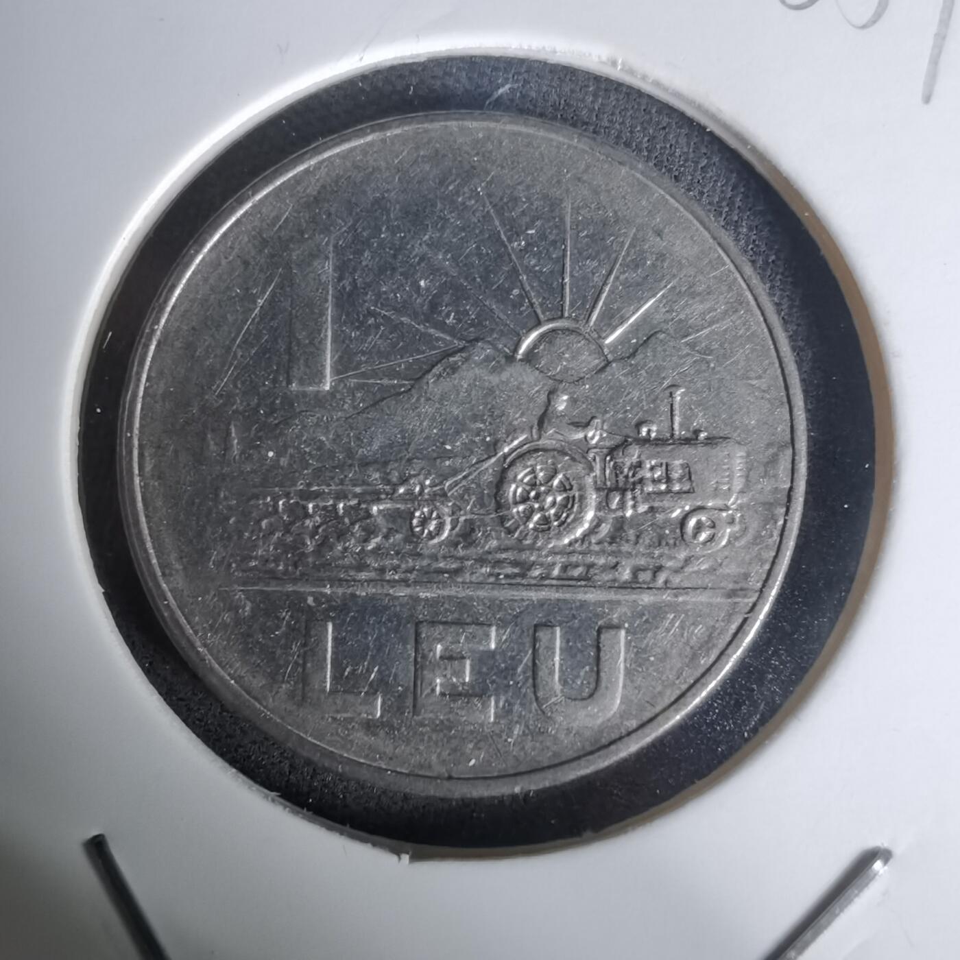 沼泽如烟--第1005场