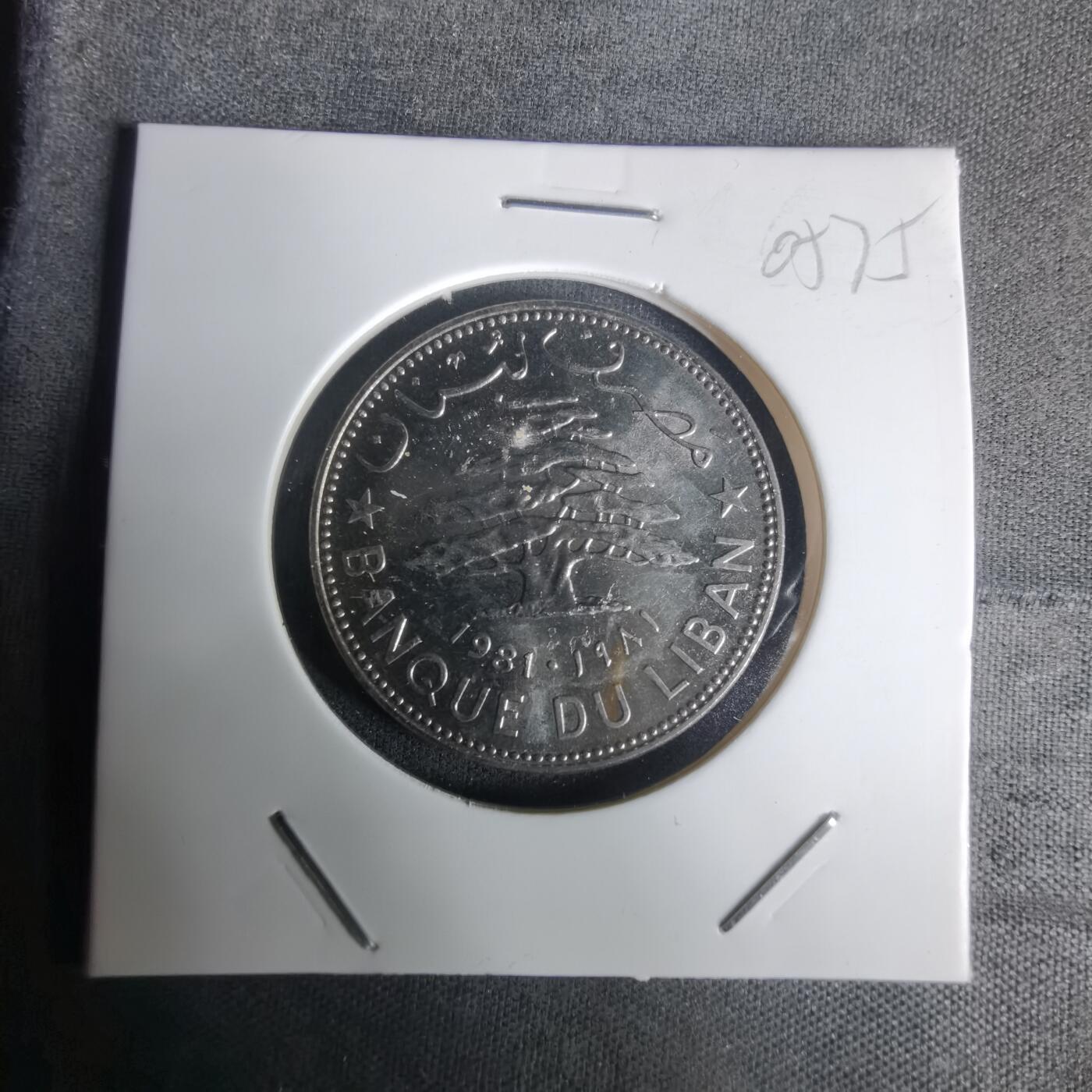 沼泽如烟--第1005场