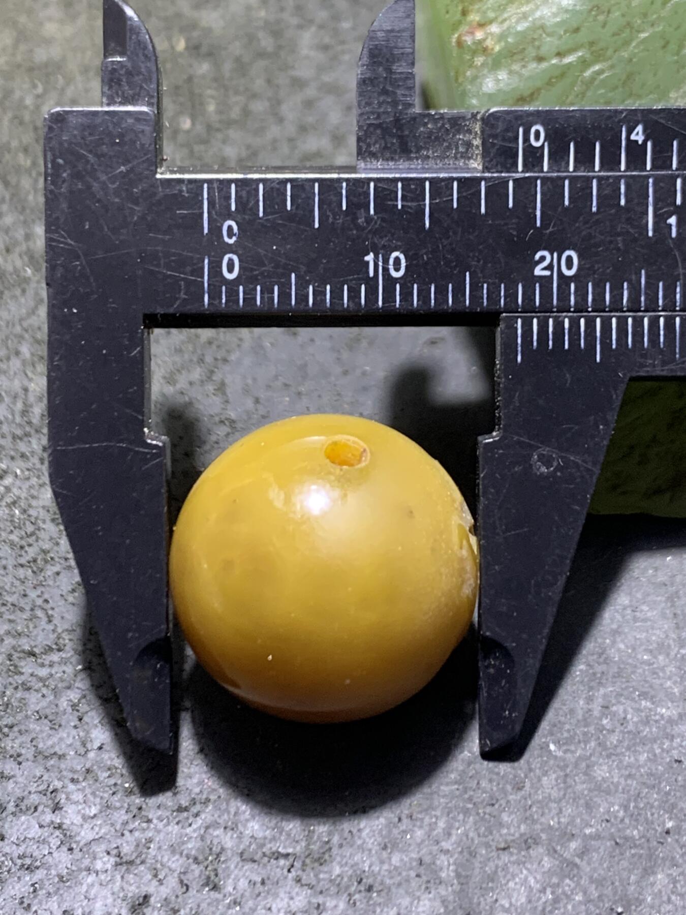 精美高玉化亚光冻料鸡油黄战国红玛瑙手工俏色巧雕悟字珠一个，