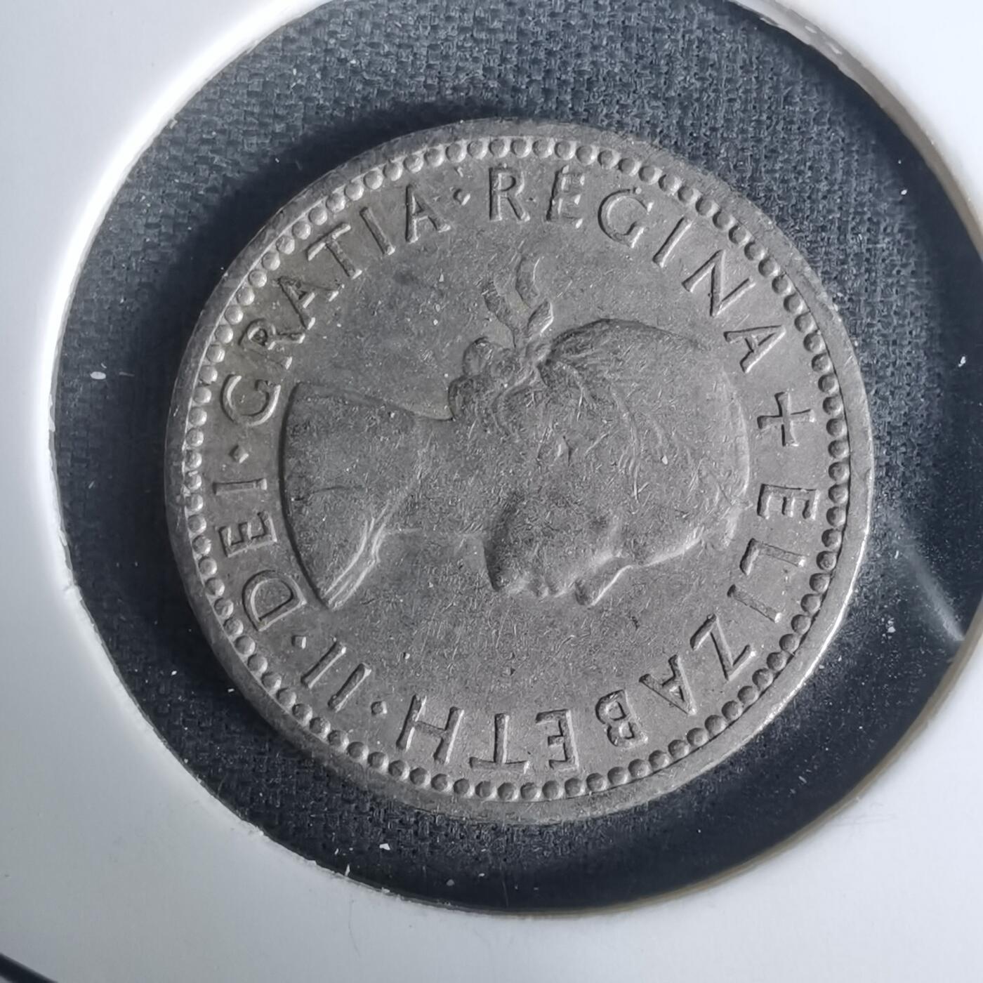 沼泽如烟--第1005场