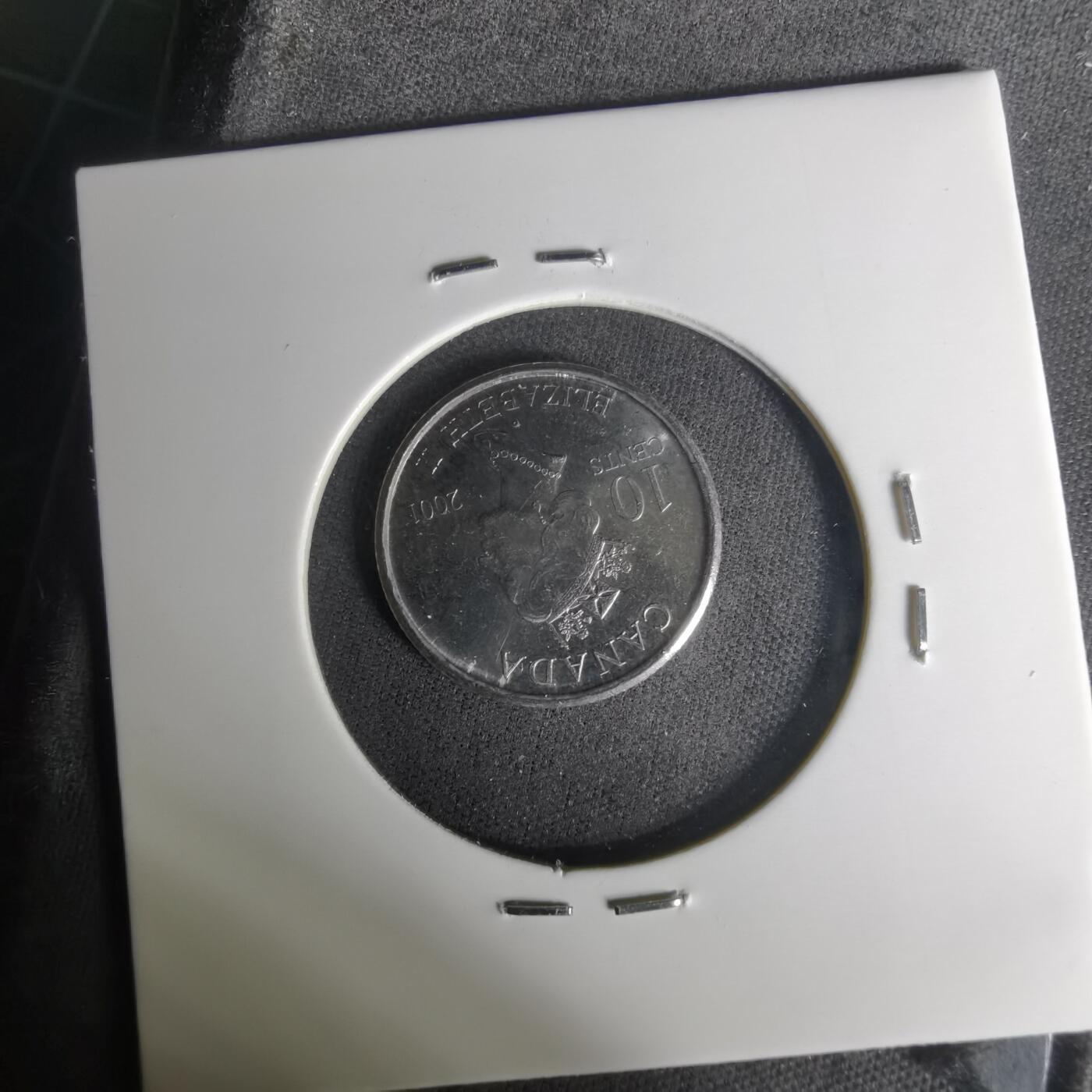 沼泽如烟--第1004场