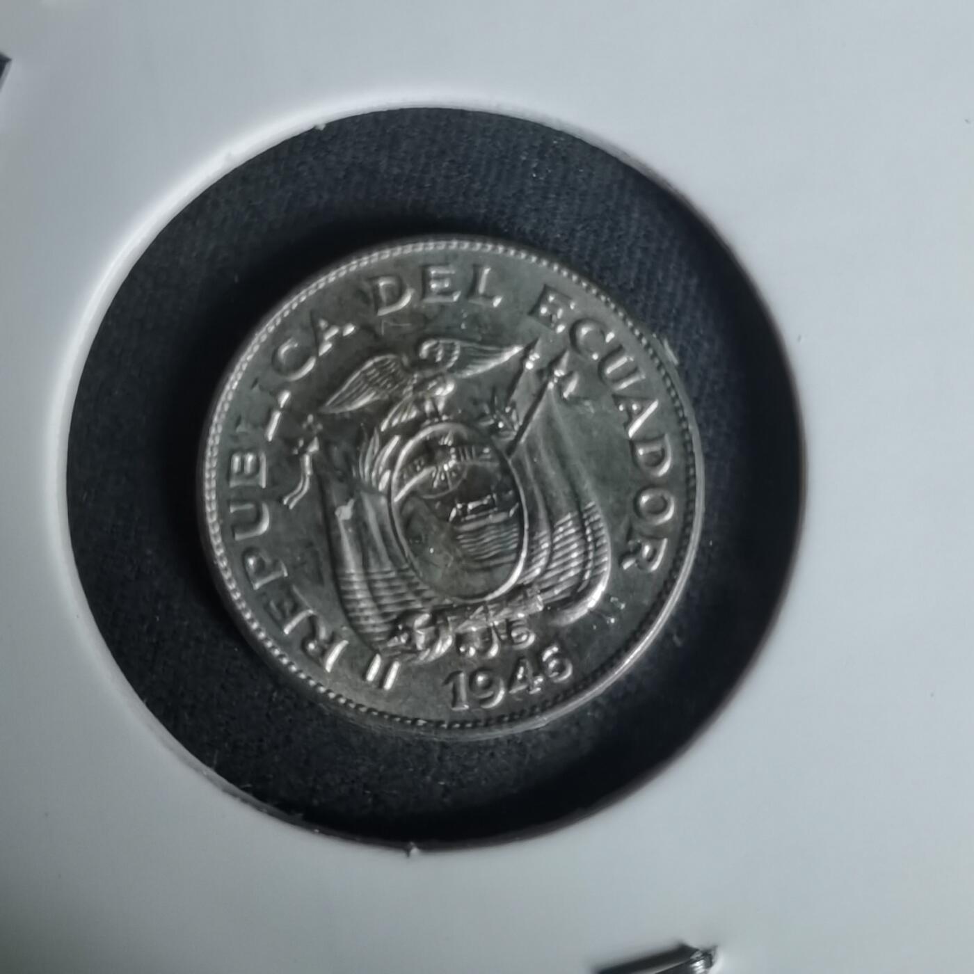 沼泽如烟--第1005场