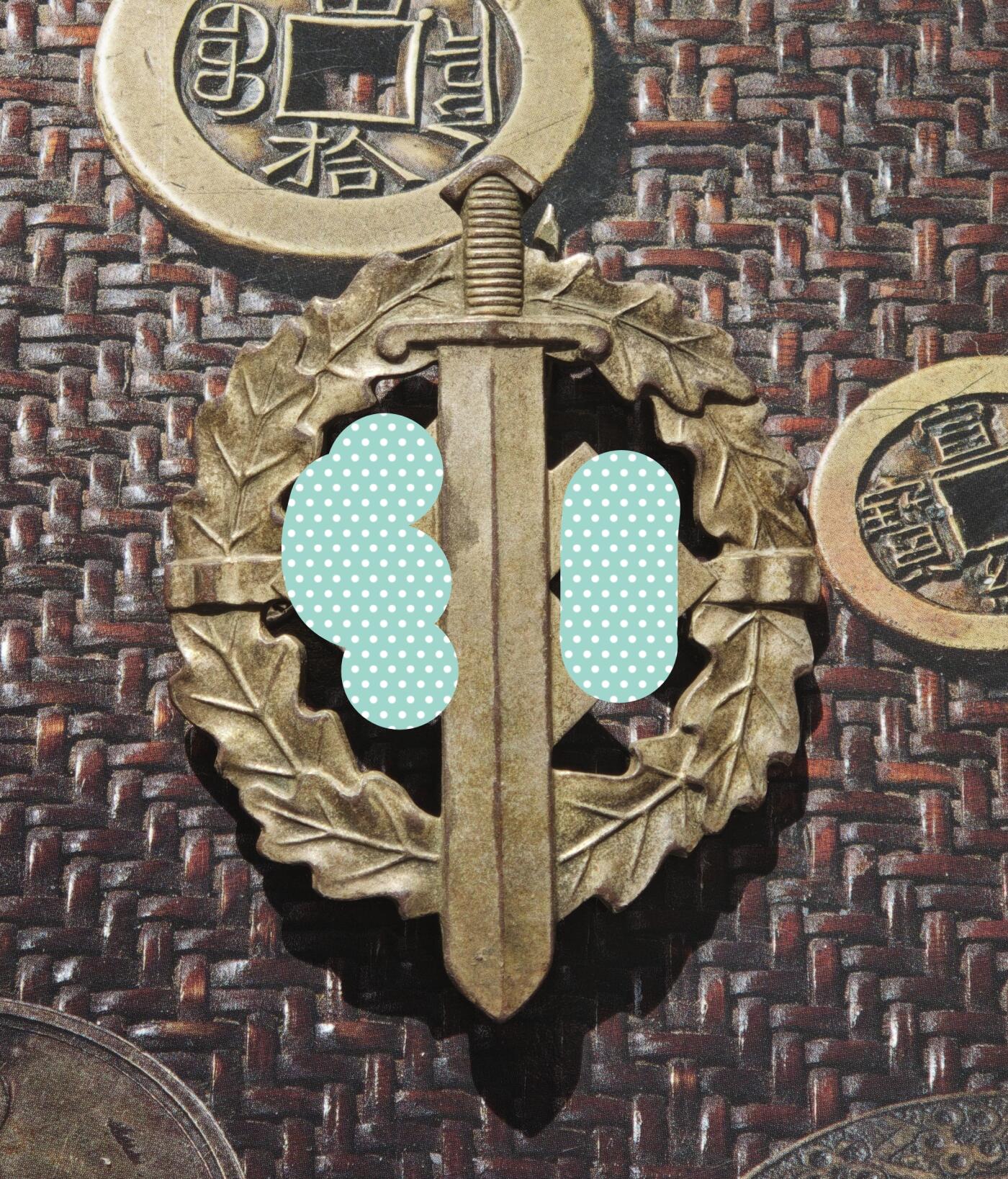 2026年2月捡漏拍 德国SA铜级体能章 超小编号