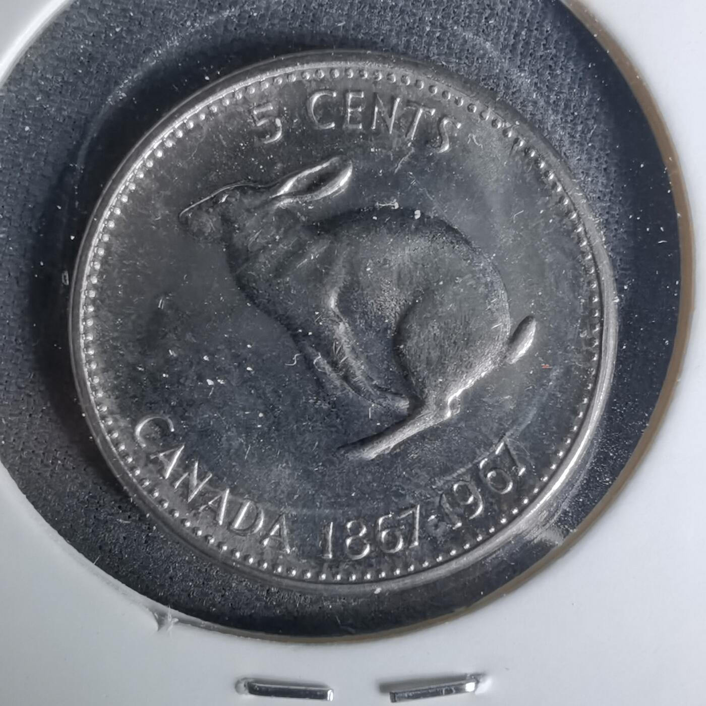 沼泽如烟--第1004场