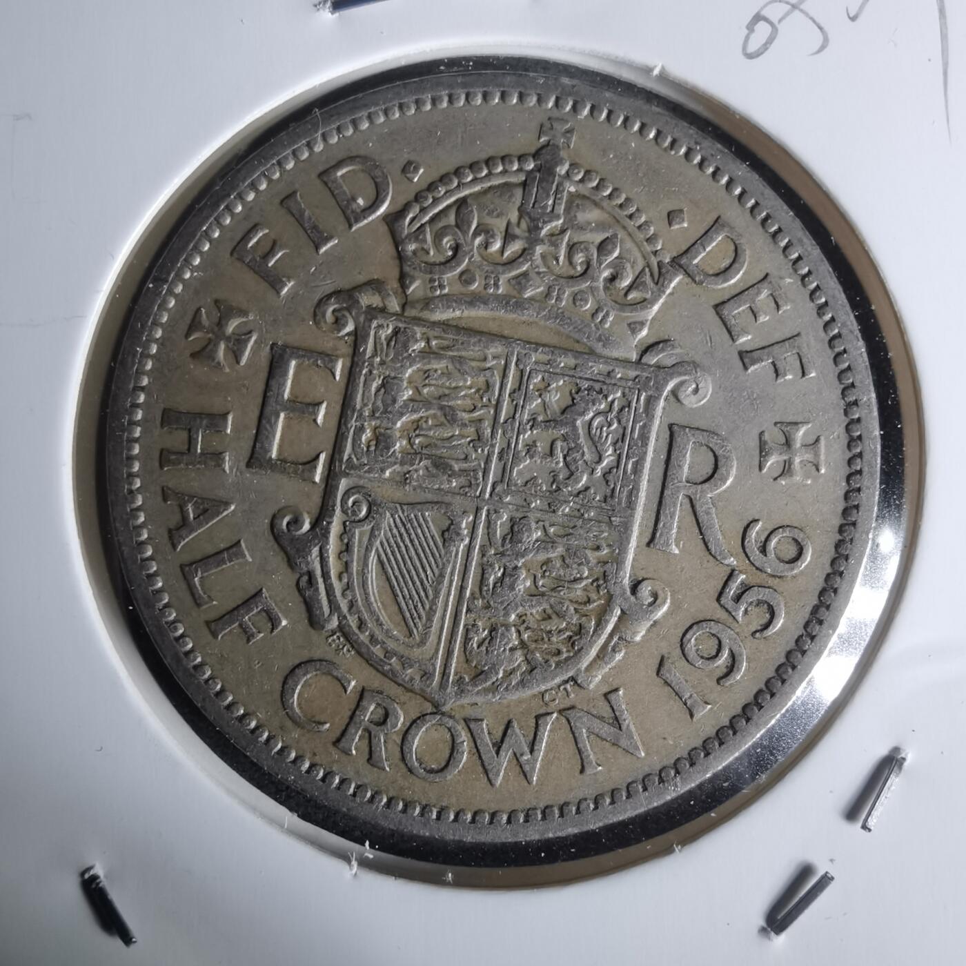 沼泽如烟--第1005场