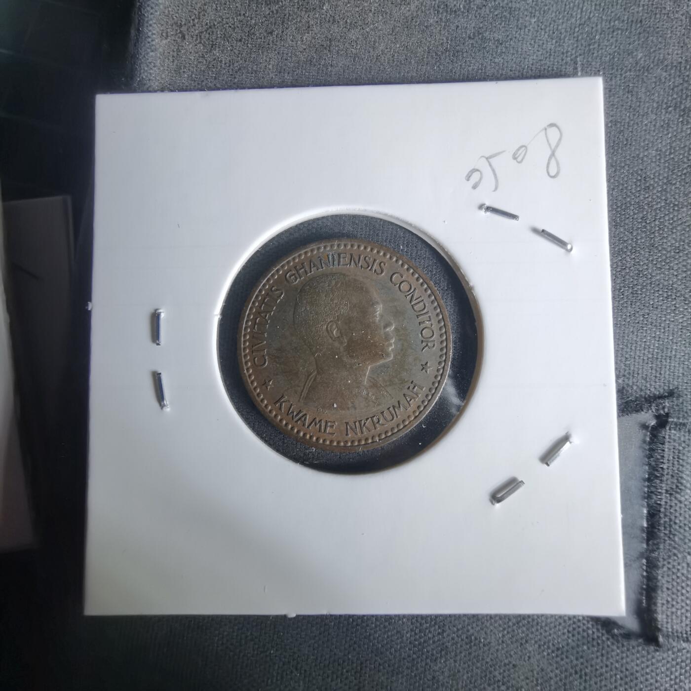 沼泽如烟--第1005场