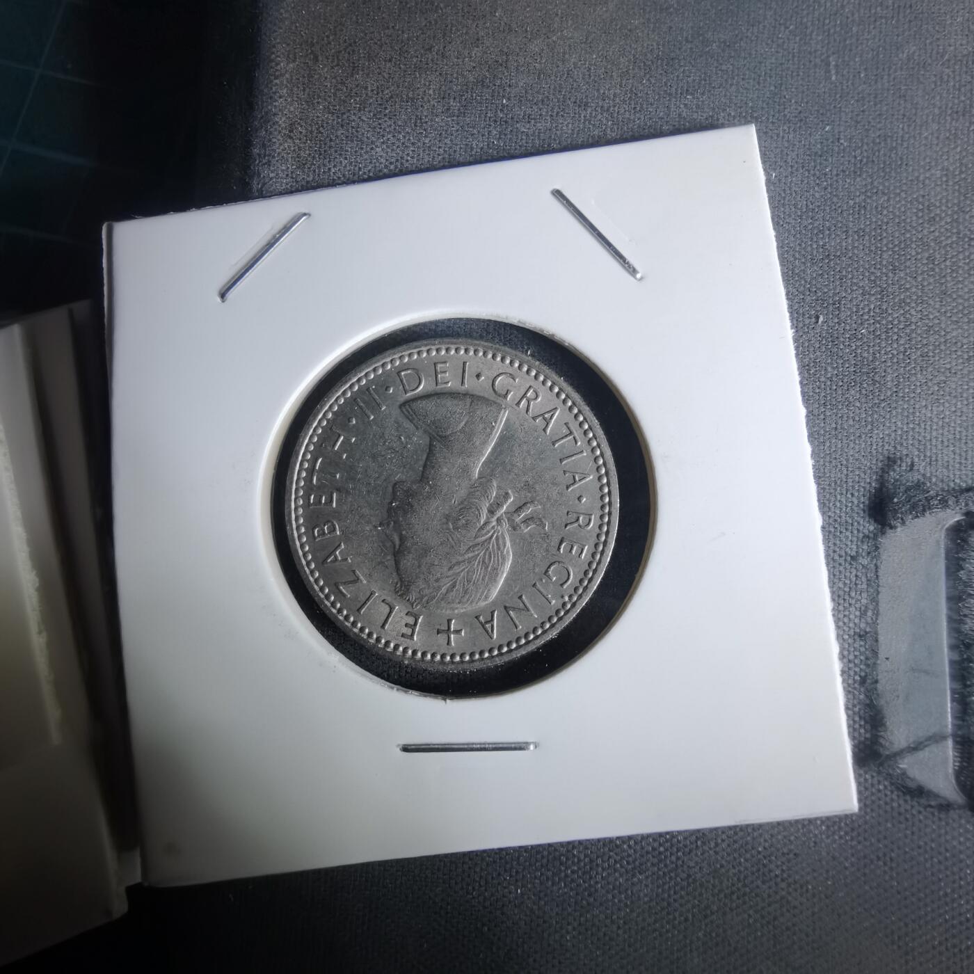 沼泽如烟--第1005场