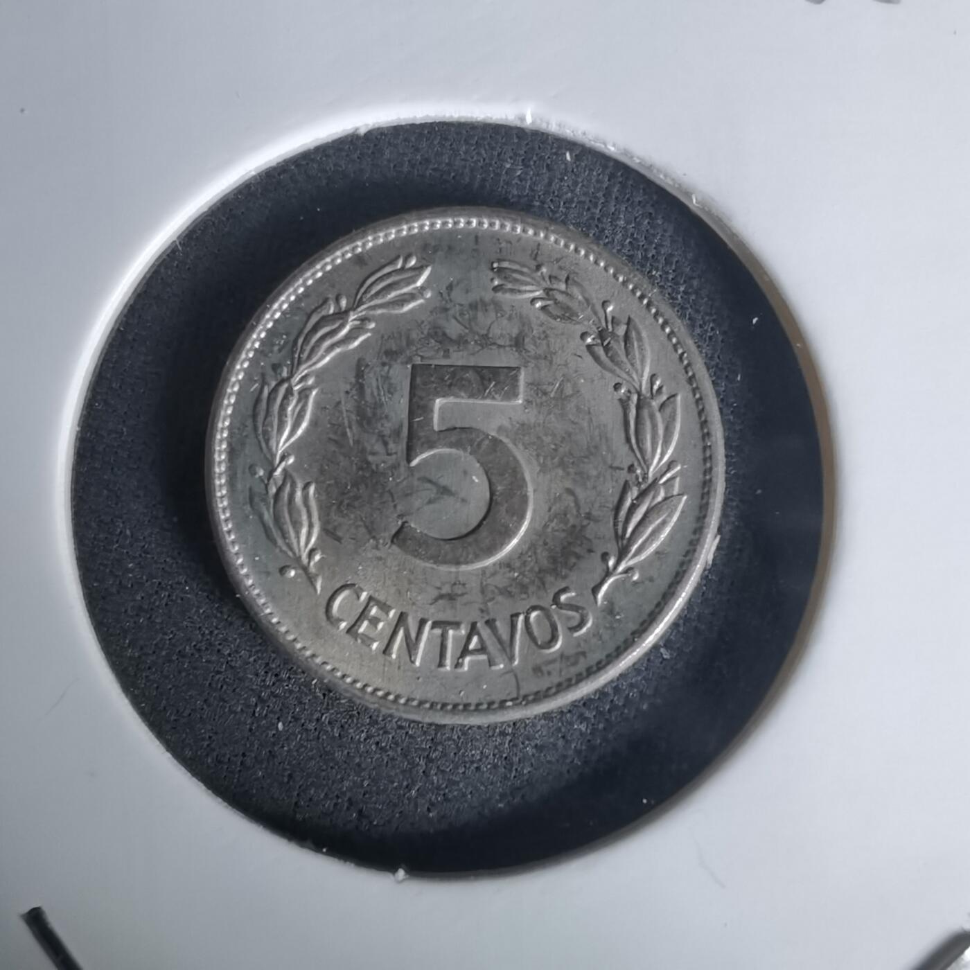 沼泽如烟--第1005场