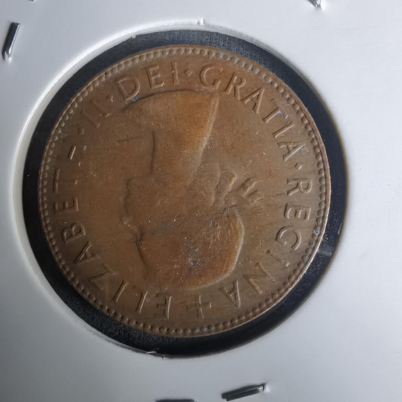 沼泽如烟--第1005场